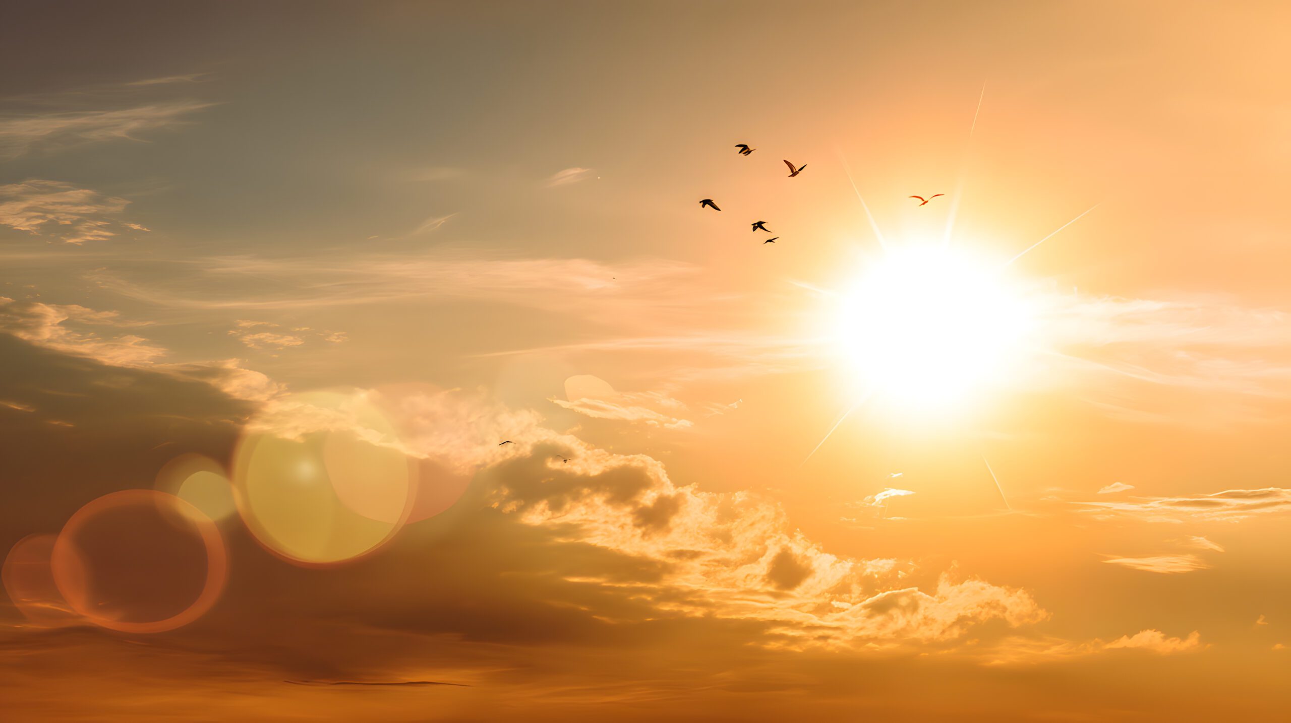 Protéger sa maison de la chaleur à La Rochelle