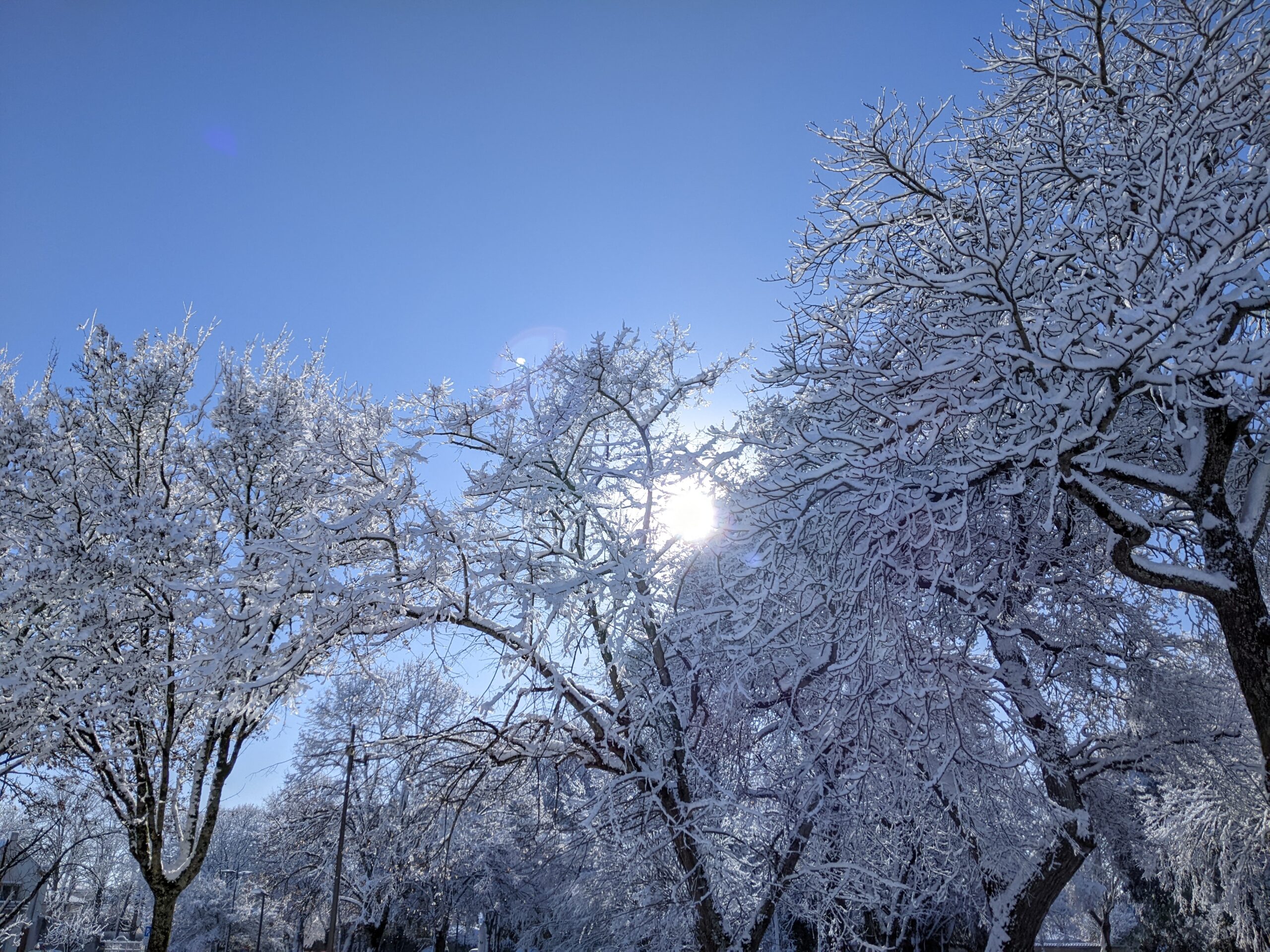 La Rochelle sous la neige